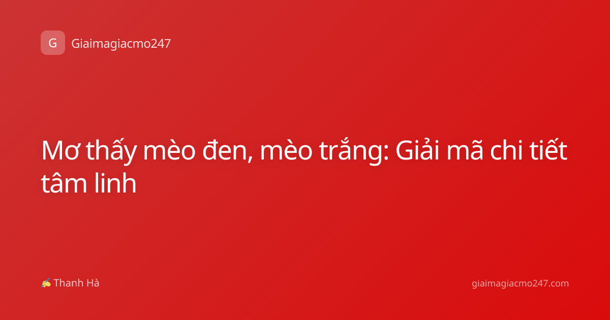 Mơ thấy mèo đen, mèo trắng: Giải mã chi tiết tâm linh