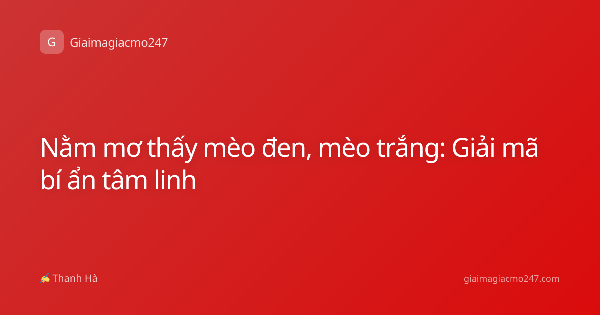 Nằm mơ thấy mèo đen, mèo trắng: Giải mã bí ẩn tâm linh